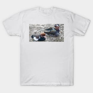 cli chinese ducks T-Shirt